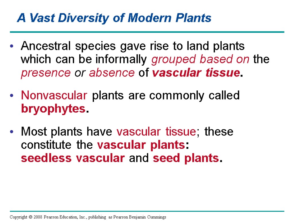 Ancestral species gave rise to land plants which can be informally grouped based on